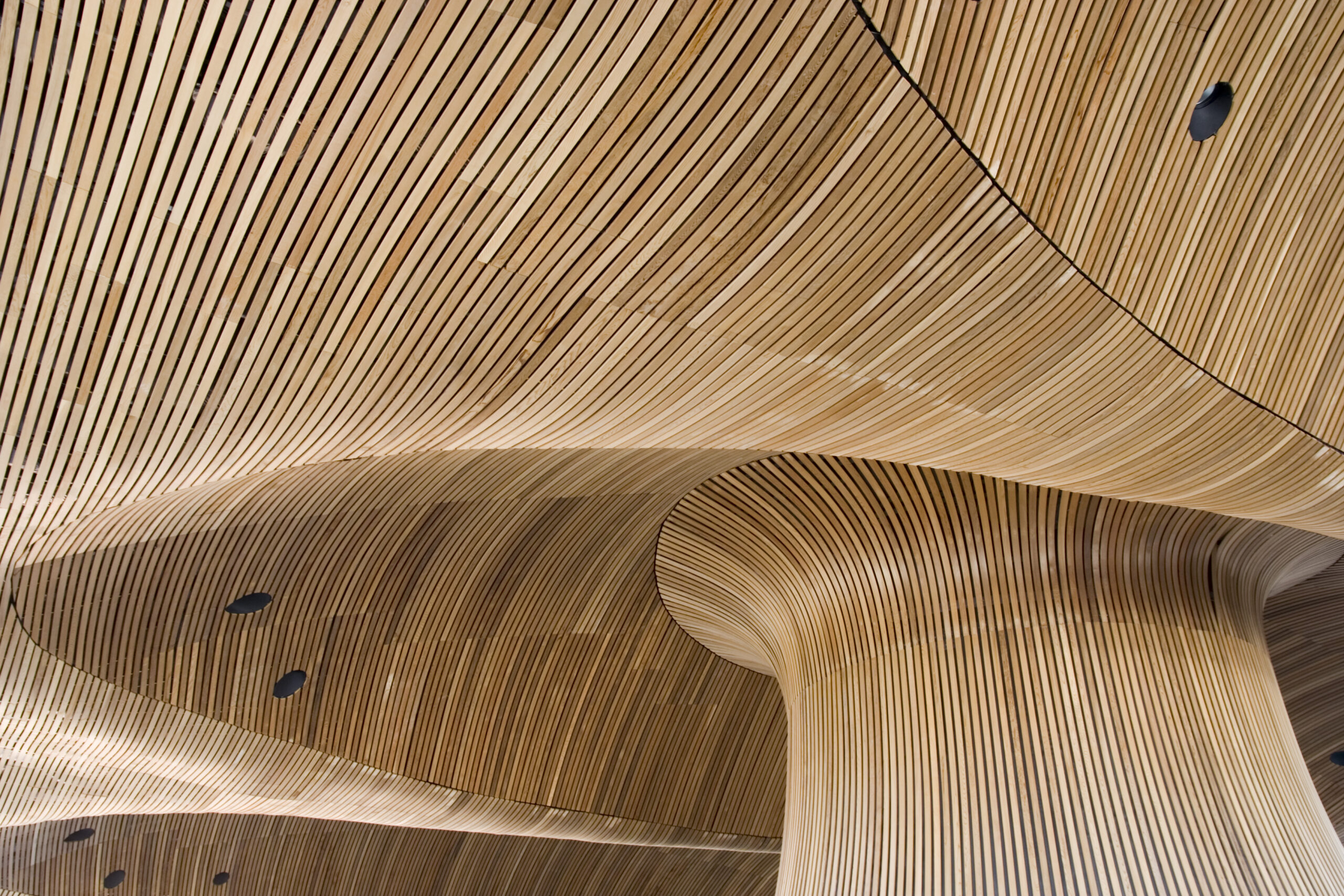 Ceiling of Welsh Parliament Building in Cardiff Wales